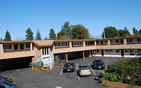 Stanford Motor Inn